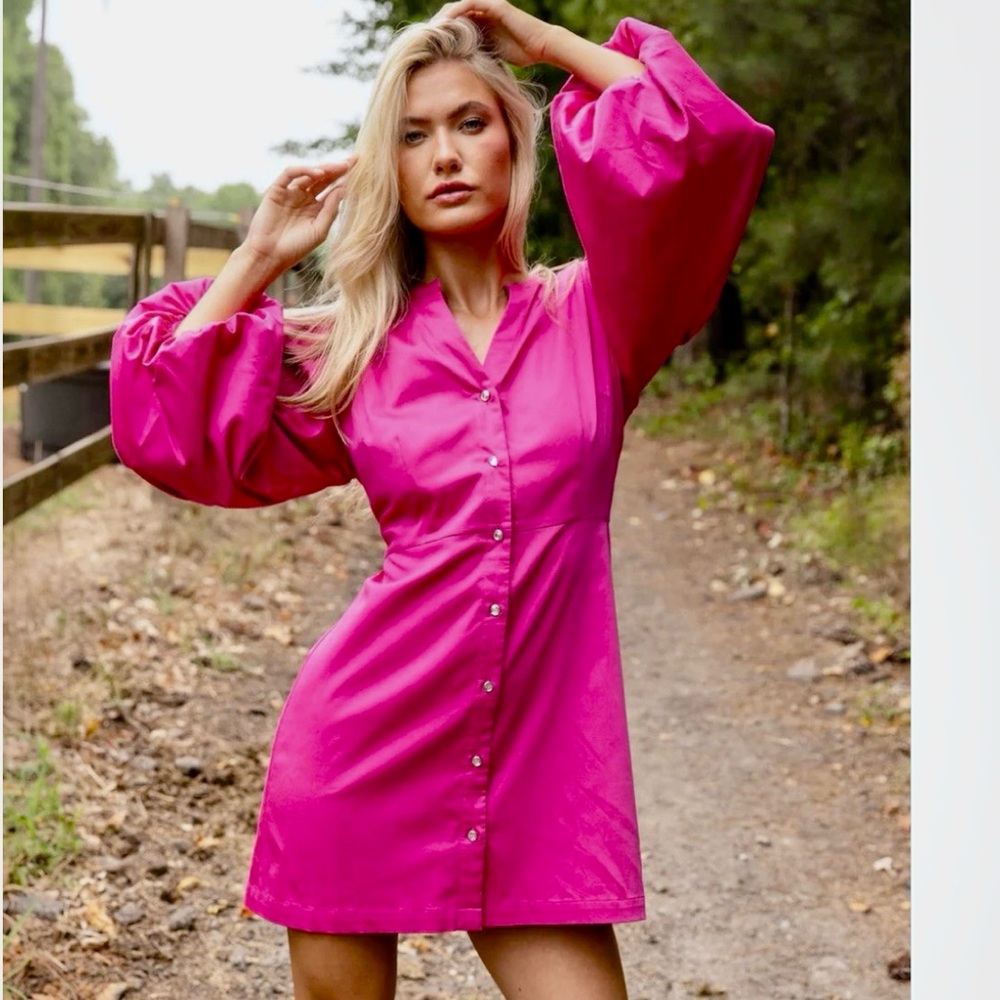 Alden Adair Athena Magenta Dress Rhinestone Buttons Balloon Sleeves NWT Small